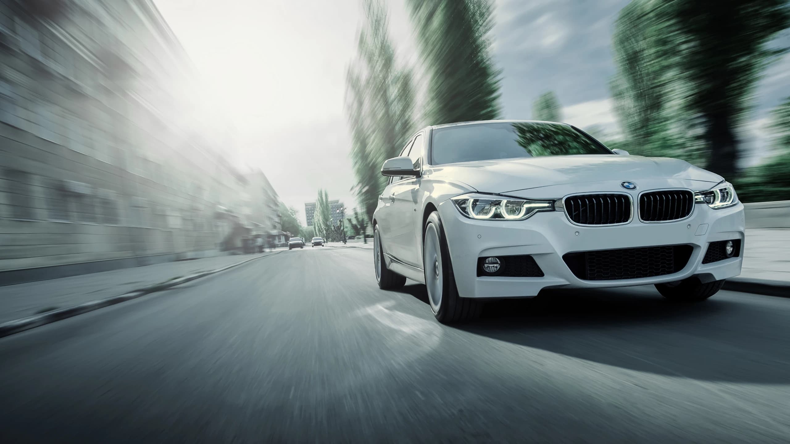 Verifica tagliandi BMW