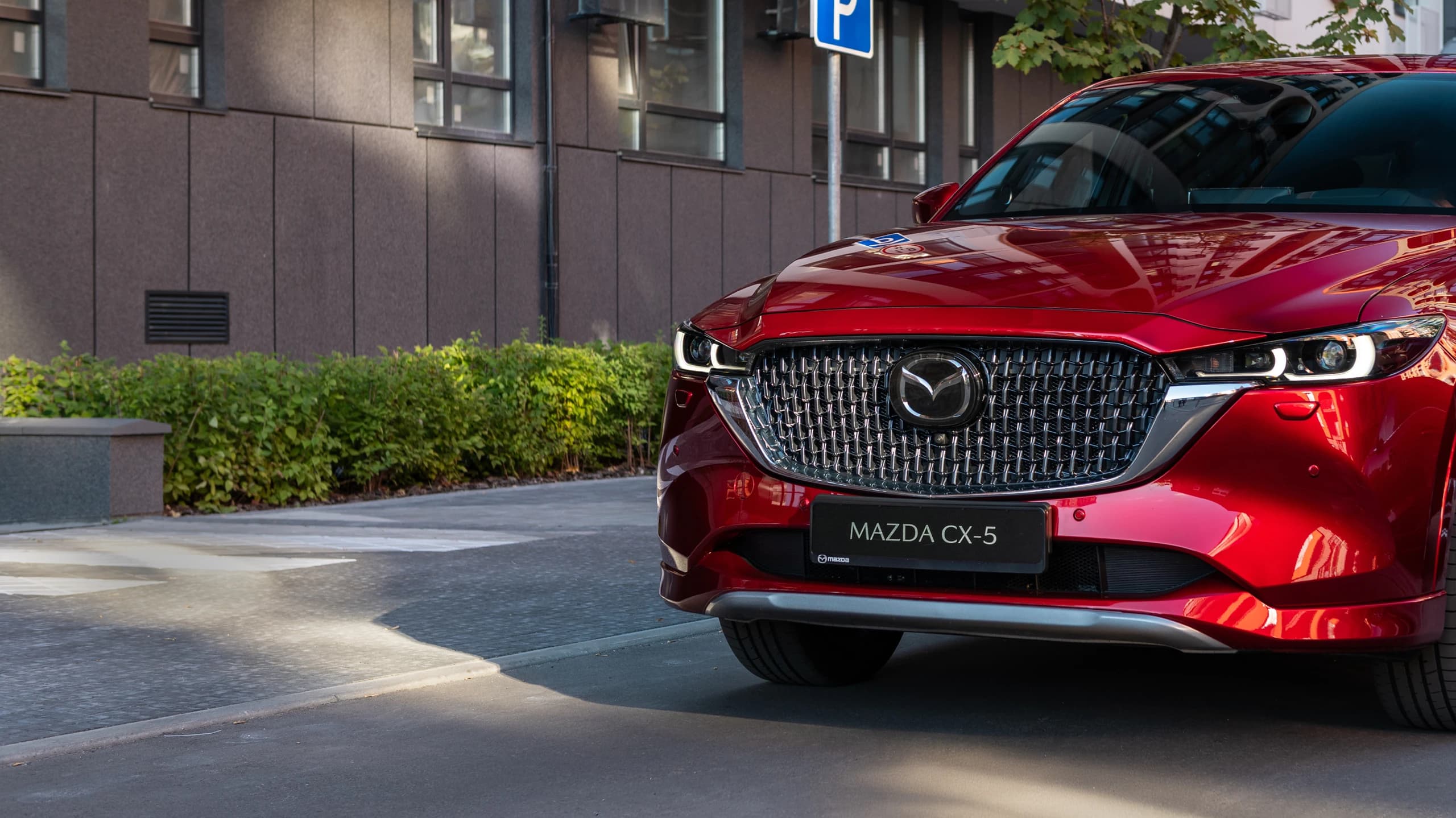 Verifica tagliandi Mazda